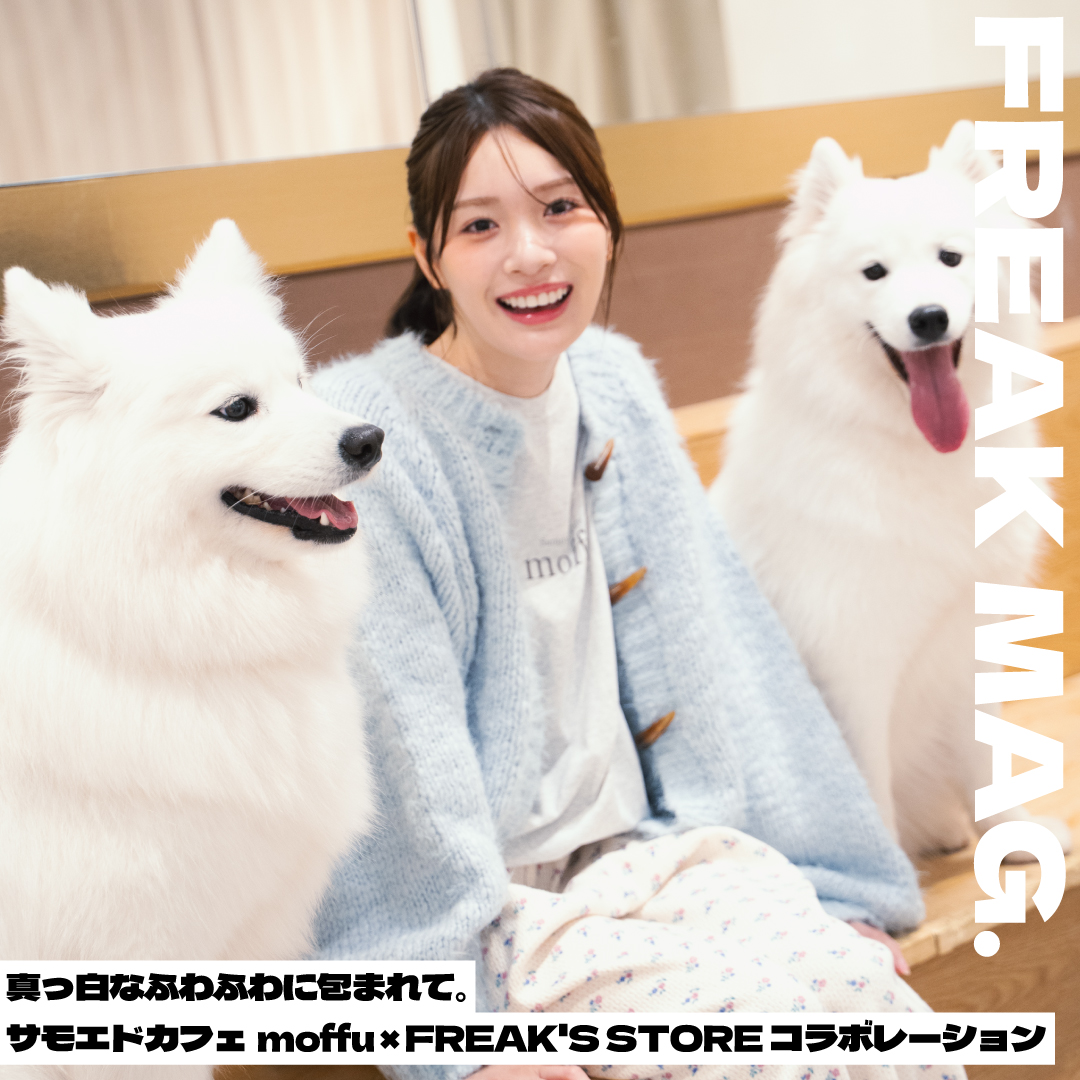 真っ白なふわふわに包まれて。サモエドカフェmoffu ✕ FREAK'S STORE コラボレーション